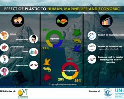 Infographic - Effect of Plastic to Human, Marine Life and Economic