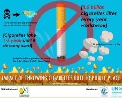 Infographic - Impact of Throwing Cigarette Butt to Environment