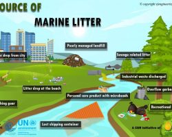 Infographic - Sources of Marine Litter