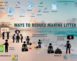 Infographic - Ways to Reduce Marine Litter