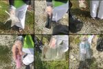 Marine Litter Community Project