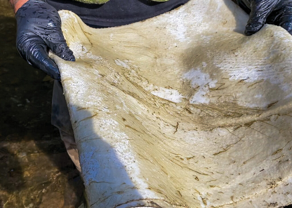 remove-oil-sheen-water