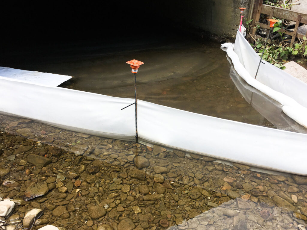 HalenHardy Product Photo