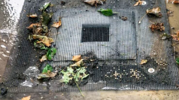 above-drain-huskyguard