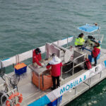 Mobula 8 Sea Cleaner Malaysia Singapore Brunei-VJ Engineering-9